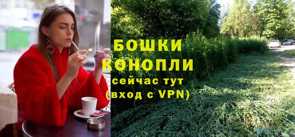 ешки Иннополис