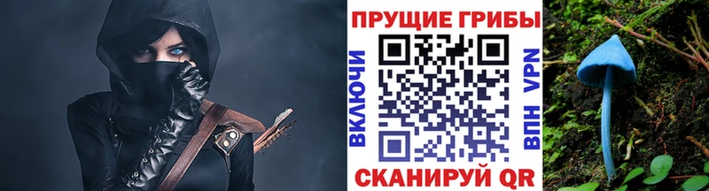 Галлюциногенные грибы прущие грибы  Купить  Томари 